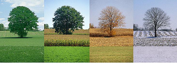 《索尼克：未知边境》开发团队畅谈神秘女孩角色设计