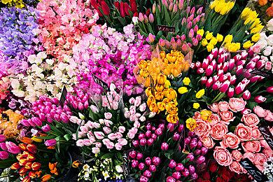 《From The Forgotten》正式定名《战栗绝境》，先锋测试同步开启